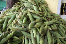 Foto: Evandro Pereira