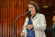 Proposta da audiência pública é da deputada Estela Bezerra
