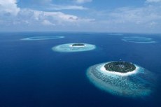 Nove bilhões de pessoas buscarão por mais comida nos oceanos, mas sabemos muito pouco sobre o que há lá embaixo