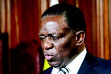 A escolha de Emmerson Mnangagwa foi comemorada por pessoas, que foram ao aeroporto dar boas-vindas ao presidente provisório do país