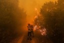 Portugal acionou o Mecanismo Europeu de Proteção Civil para utilização de meios aéreos no combate aos incêndios