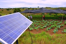 O equipamento de energia solar com irrigação vai colaborar com o trabalho de 19 famílias do assentamento Nossa Senhora de Nazaré