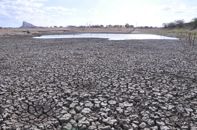 SECA NO VALE DO PIANCÓ FOTOS DE (ORTILO) (32).JPG SECA NO VALE DO PIANCÓ FOTOS DE (ORTILO) (32).JPG