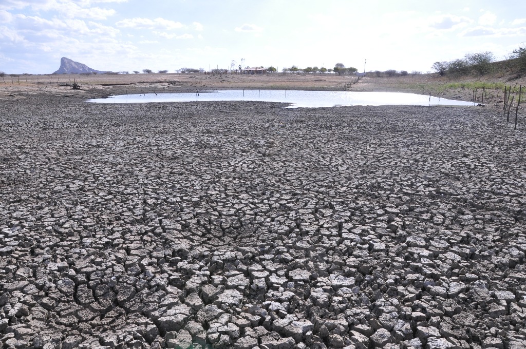 SECA NO VALE DO PIANCÓ FOTOS DE (ORTILO) (32).JPG