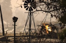 A imprensa dos Estados Unidos da América mostra com frequência as imagens dos bairros completamente destruídos na região