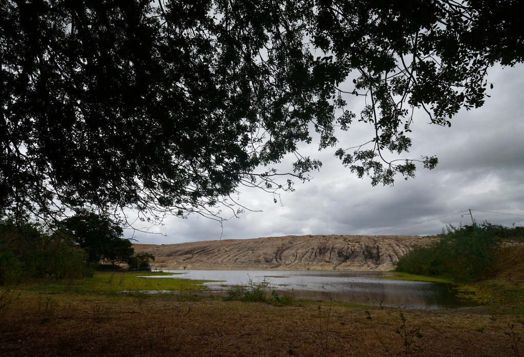 2020.07.19_apa do cariri_fazenda salambaia © roberto guedes (115).JPG