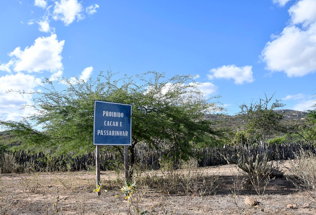 004_2020.07.28_apa das onças © roberto guedes (24).JPG