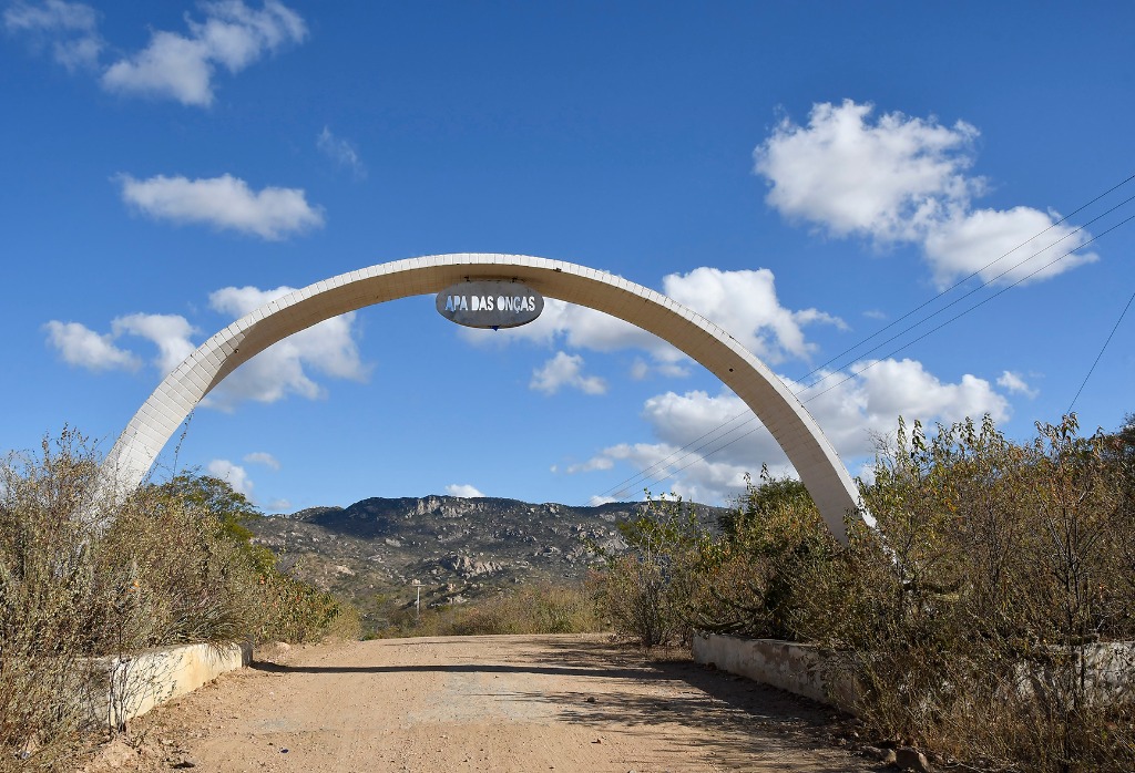 2020.07.28_apa das onças © roberto guedes (12).JPG