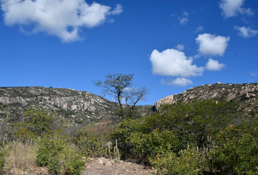 2020.07.28_apa das onças © roberto guedes (21).JPG