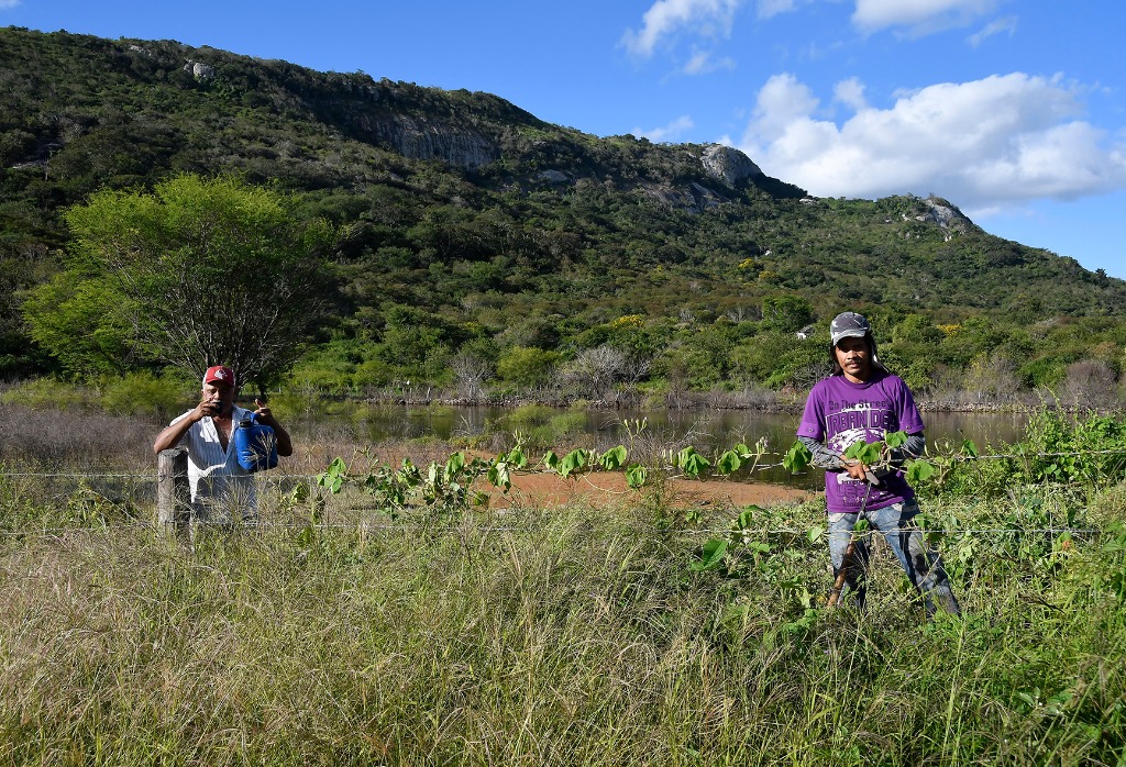 2020.07.28_apa das onças © roberto guedes (37).JPG