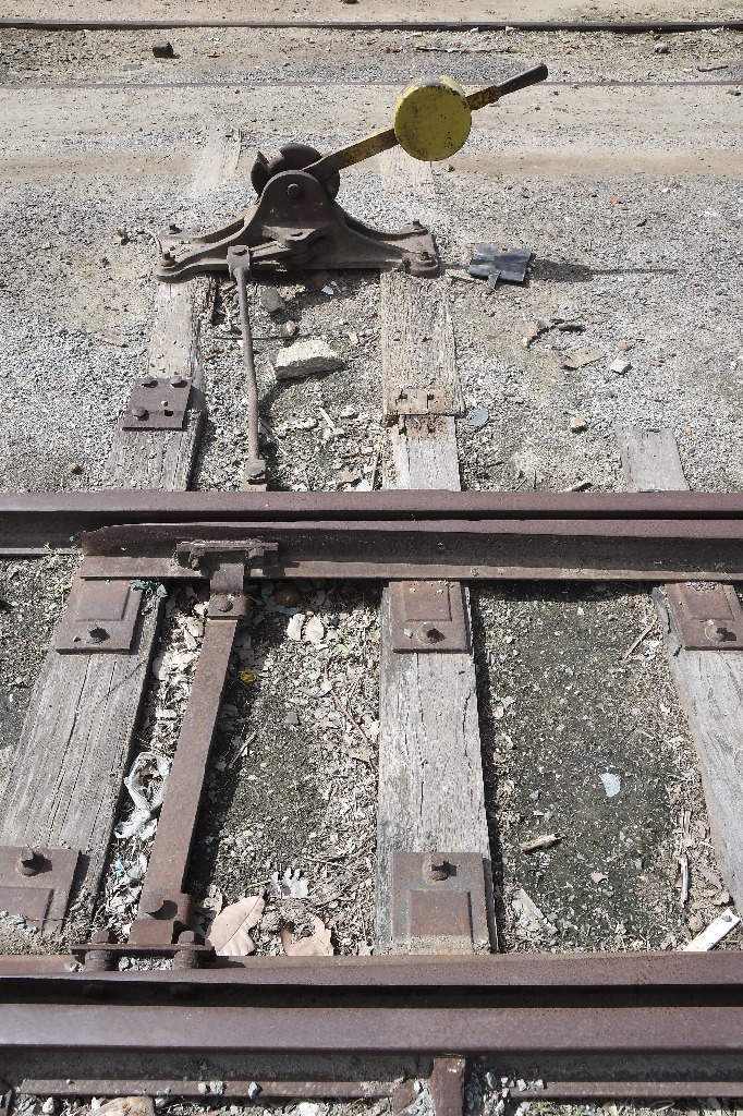 2021.05.13_itabaiana_ferrovia © roberto guedes (25).JPG