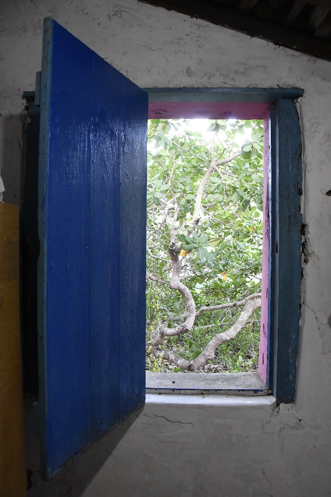 2021.05.13_pilar © roberto guedes (114).JPG