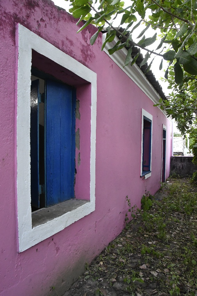 2021.05.13_pilar © roberto guedes (116).JPG