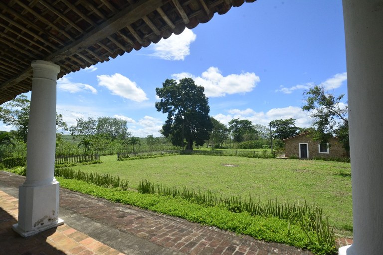 2021.05.13_pilar_engenho corredor © roberto guedes (107).JPG