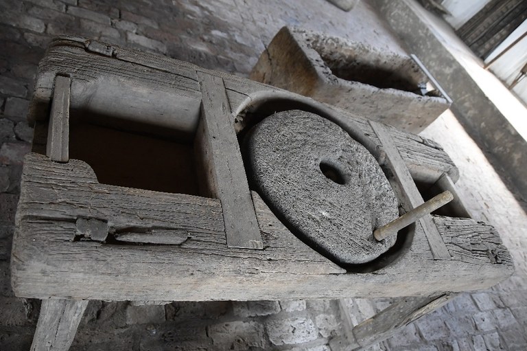 2021.05.13_pilar_engenho corredor © roberto guedes (35).JPG