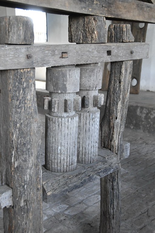 2021.05.13_pilar_engenho corredor © roberto guedes (37).JPG