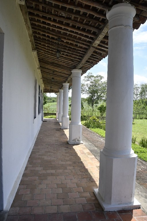 2021.05.13_pilar_engenho corredor © roberto guedes (54).JPG