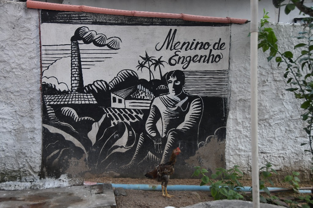 2021.05.13_pilar_paineis © roberto guedes (142).JPG