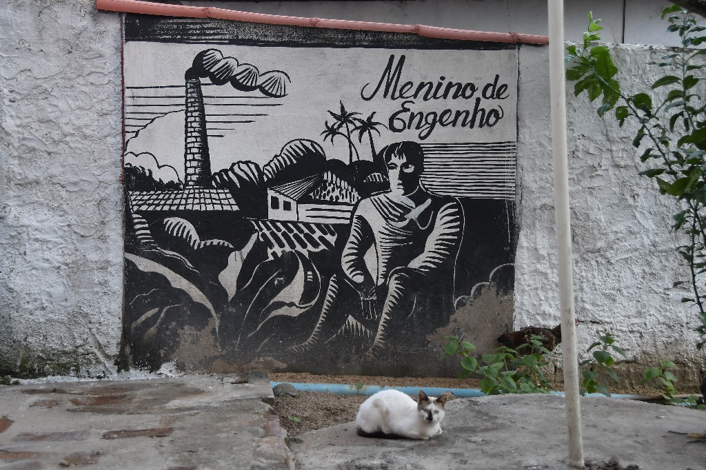 2021.05.13_pilar_paineis © roberto guedes (144).JPG