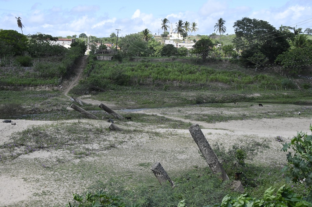 2021.05.13_pilar_pontes © roberto guedes (144).JPG