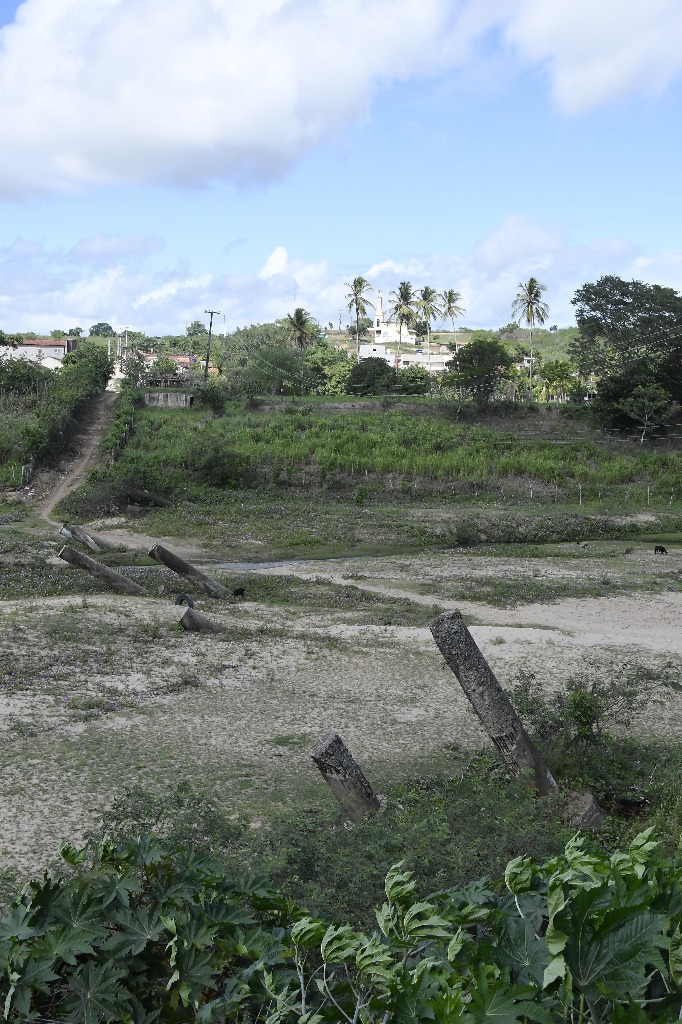 2021.05.13_pilar_pontes © roberto guedes (145).JPG