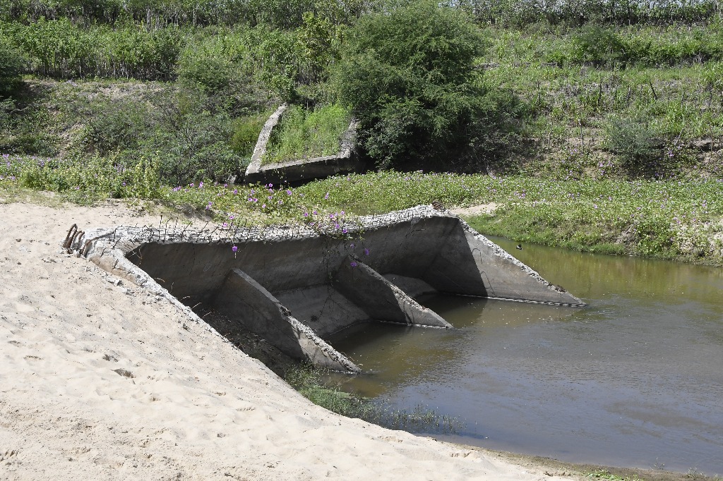 2021.05.13_pilar_pontes © roberto guedes (147).JPG