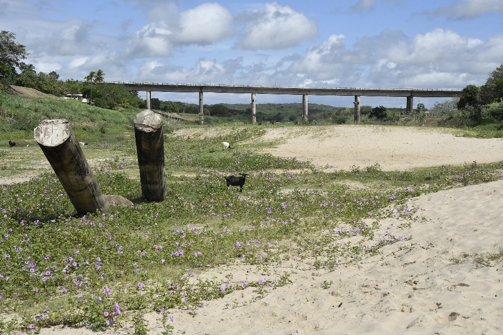 2021.05.13_pilar_pontes © roberto guedes (148).JPG