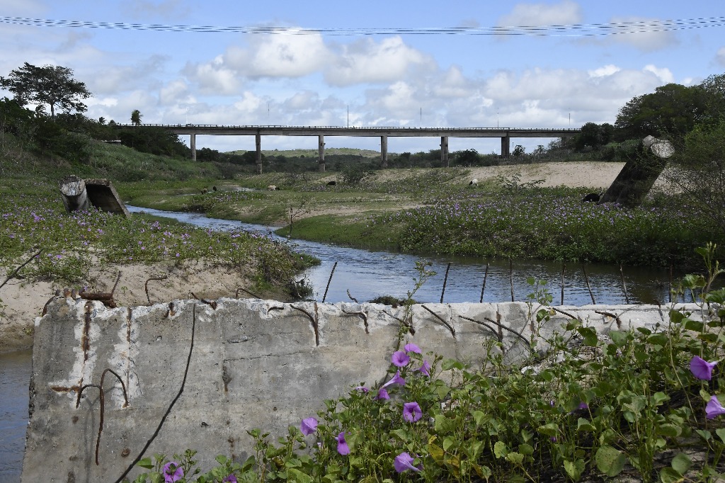 2021.05.13_pilar_pontes © roberto guedes (150).JPG