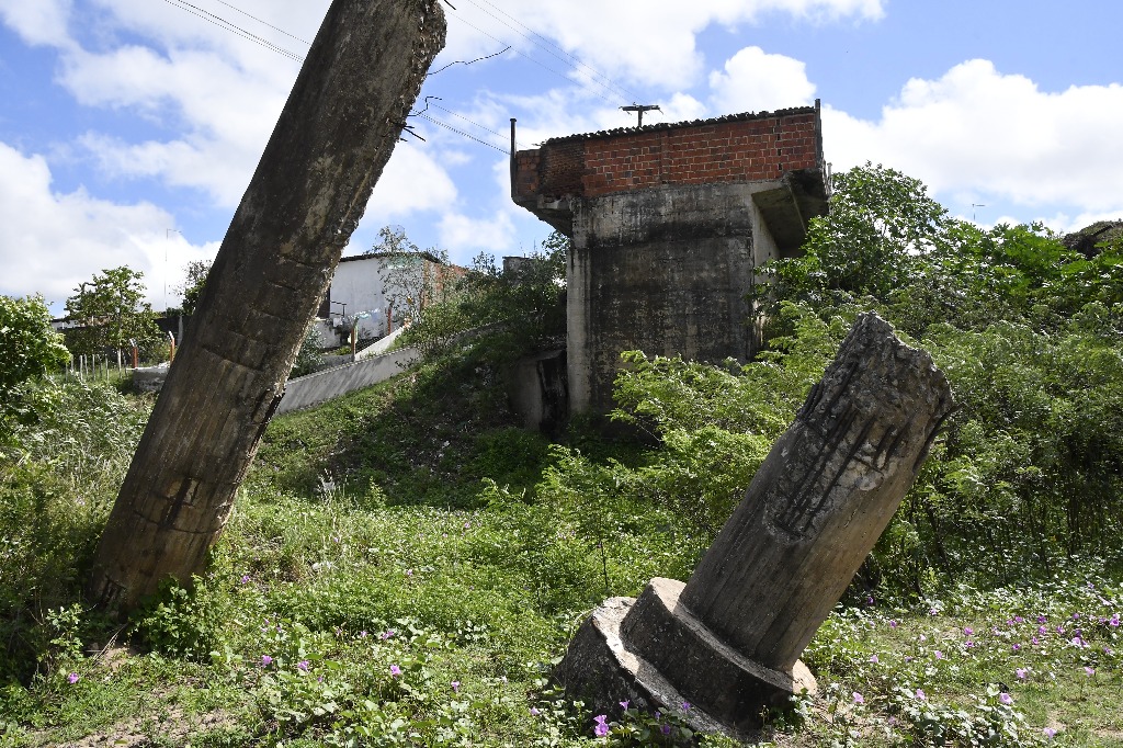 2021.05.13_pilar_pontes © roberto guedes (152).JPG