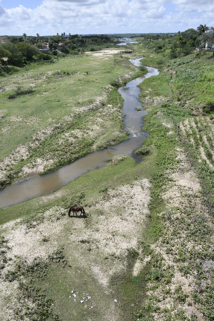 2021.05.13_pilar_rio paraiba © roberto guedes (182).JPG
