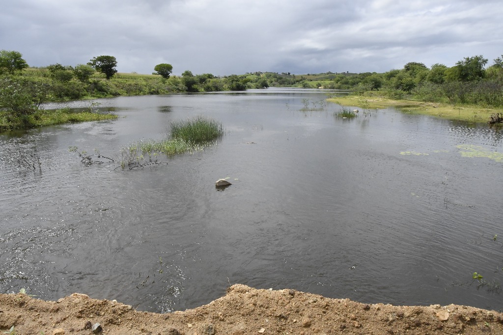 2021.05.13_sao miguel taipu © roberto guedes (107).JPG