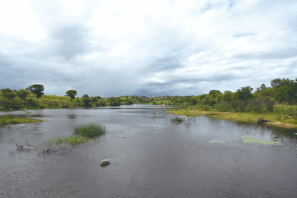 2021.05.13_sao miguel taipu © roberto guedes (108).JPG