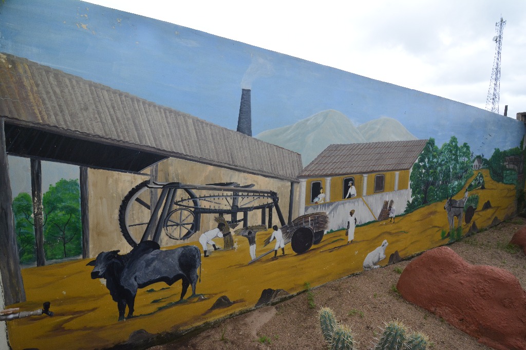 2021.05.13_sao miguel taipu © roberto guedes (150).JPG