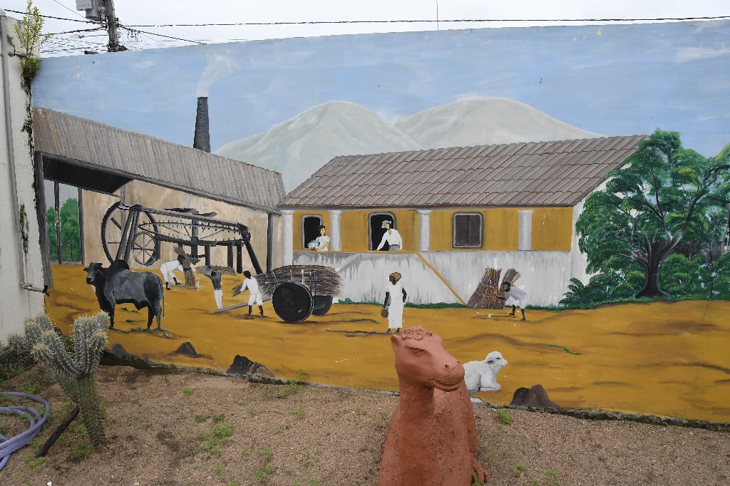 2021.05.13_sao miguel taipu © roberto guedes (76).JPG