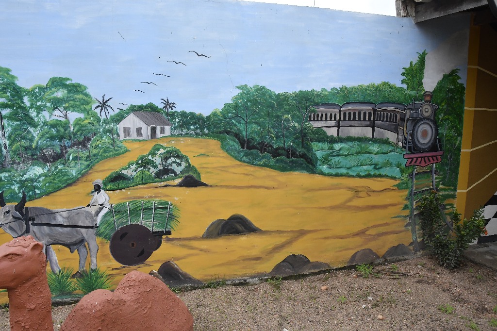 2021.05.13_sao miguel taipu © roberto guedes (77).JPG