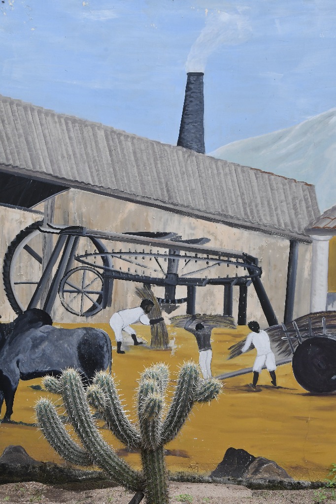 2021.05.13_sao miguel taipu © roberto guedes (80).JPG