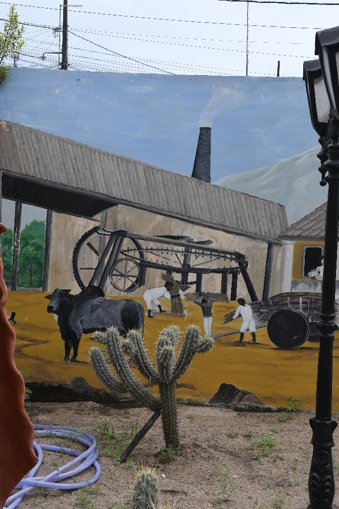 2021.05.13_sao miguel taipu © roberto guedes (81).JPG