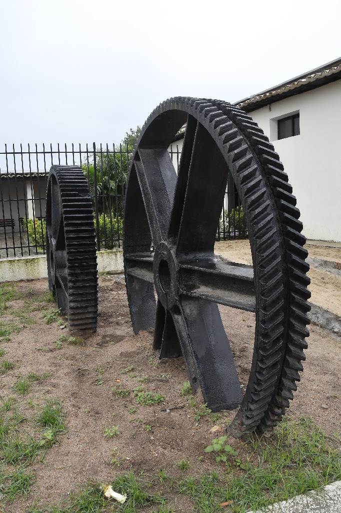 2021.05.13_sao miguel taipu © roberto guedes (86).JPG