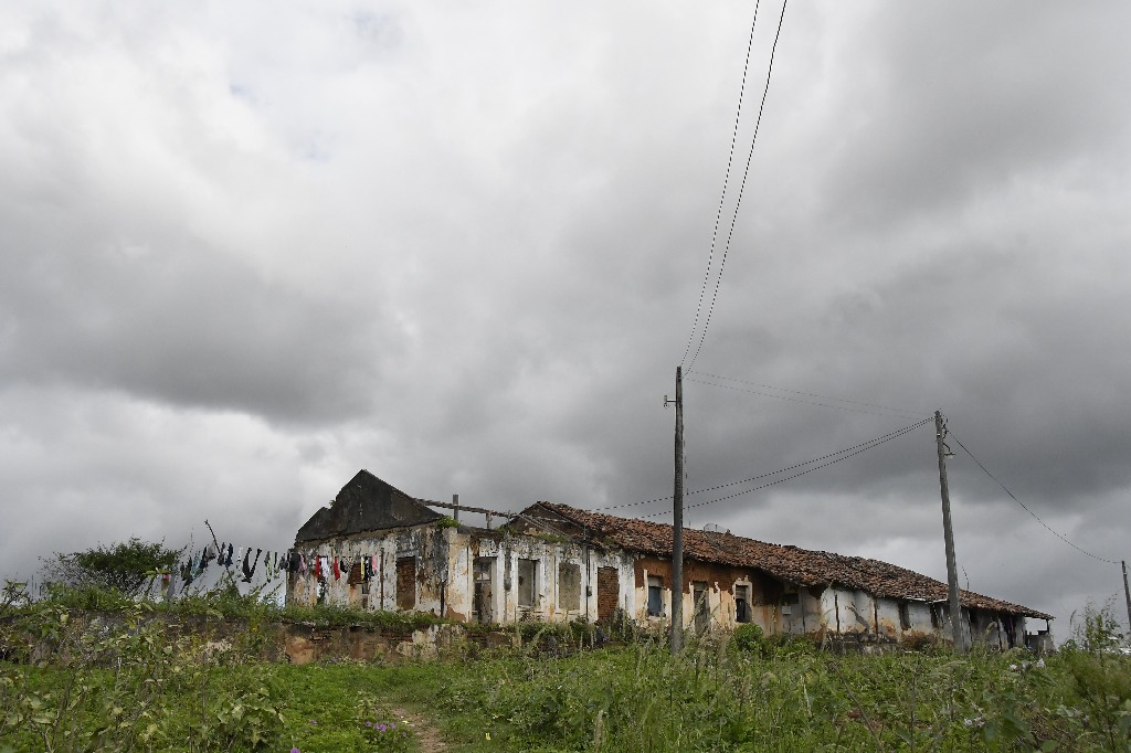 2021.05.13_sao miguel taipu_eng taipu © roberto guedes (11).JPG