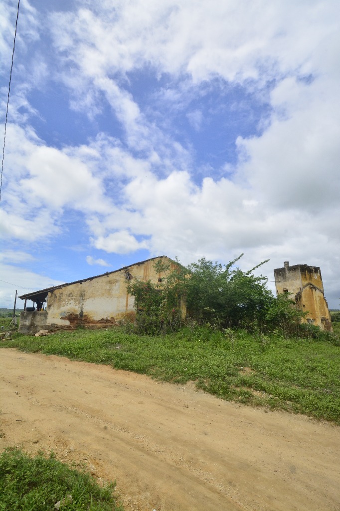 2021.05.13_sao miguel taipu_eng taipu © roberto guedes (19).JPG