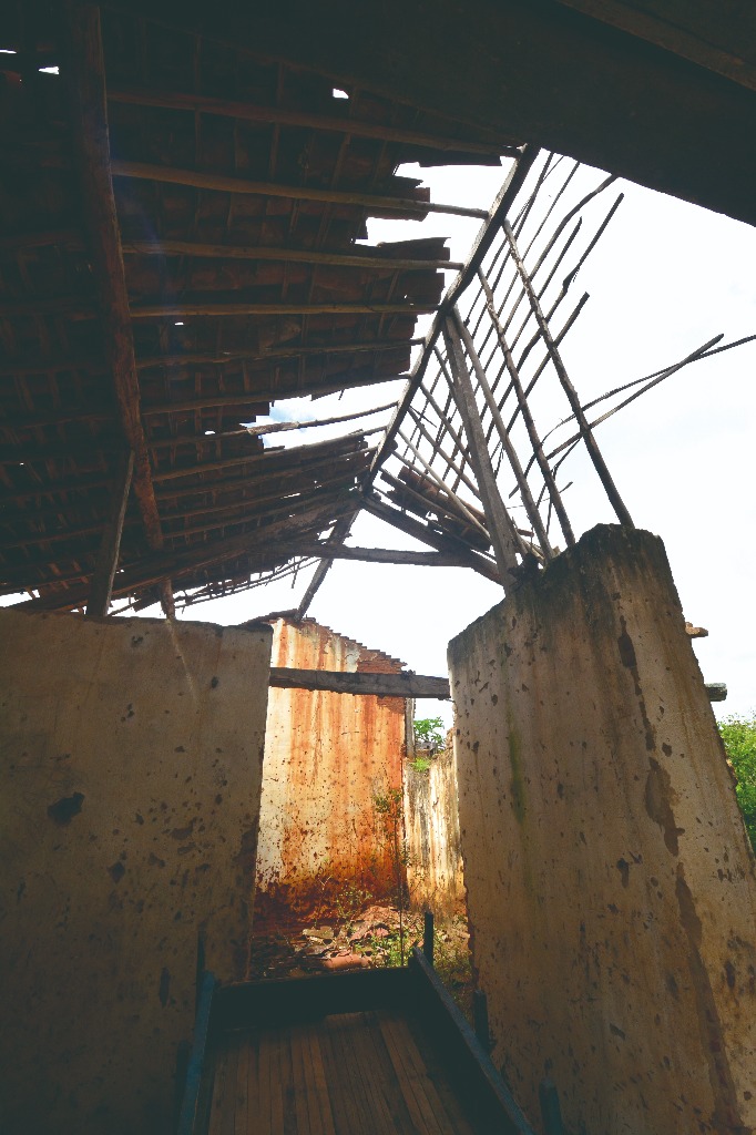 2021.05.13_sao miguel taipu_eng taipu © roberto guedes (21).JPG