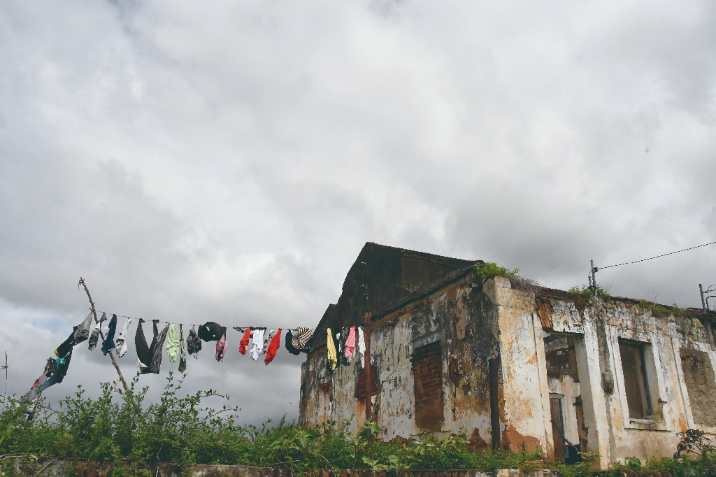 2021.05.13_sao miguel taipu_eng taipu © roberto guedes (8).JPG
