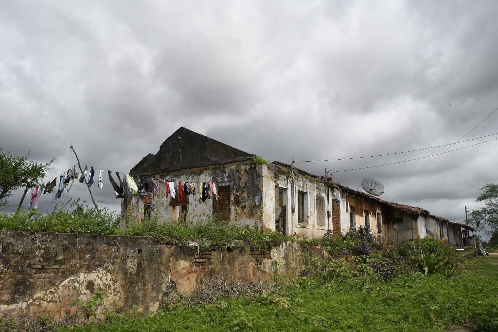 2021.05.13_sao miguel taipu_eng taipu © roberto guedes (9).JPG