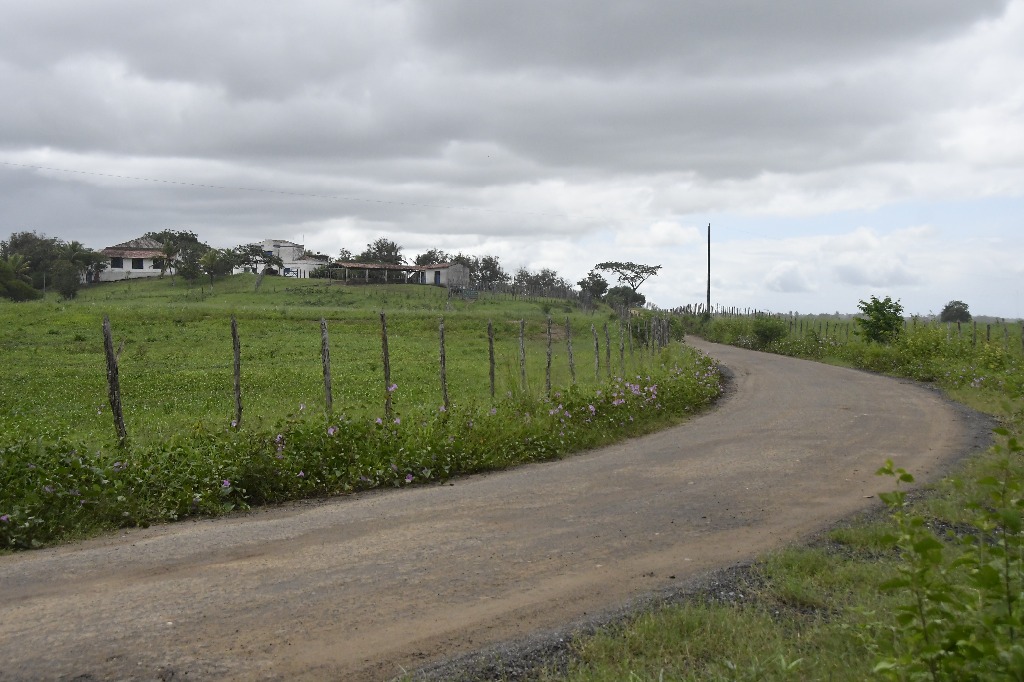 2021.05.13_sao miguel taipu_engenho novo © roberto guedes (1).JPG