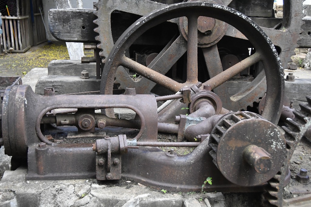 2021.05.13_sao miguel taipu_engenho novo © roberto guedes (10).JPG