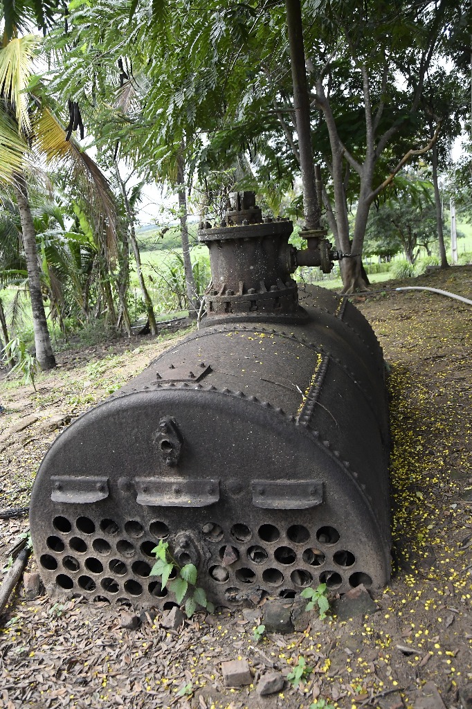 2021.05.13_sao miguel taipu_engenho novo © roberto guedes (11).JPG