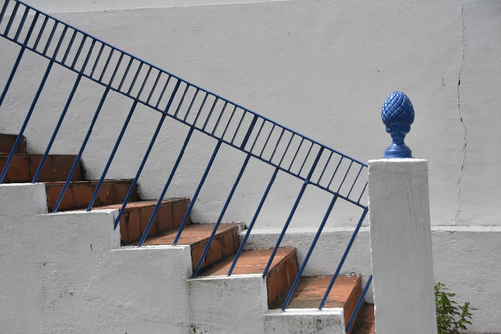 2021.05.13_sao miguel taipu_engenho novo © roberto guedes (16).JPG