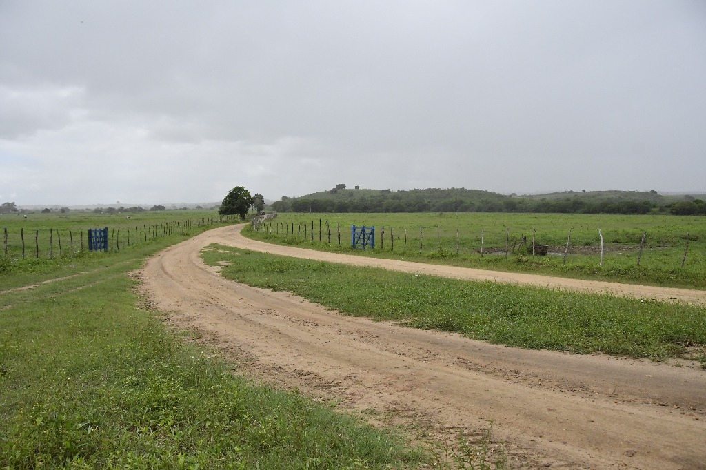 2021.05.13_sao miguel taipu_engenho novo © roberto guedes (2).JPG