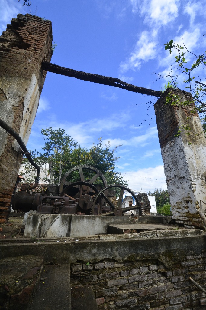 2021.05.13_sao miguel taipu_engenho novo © roberto guedes (26).JPG