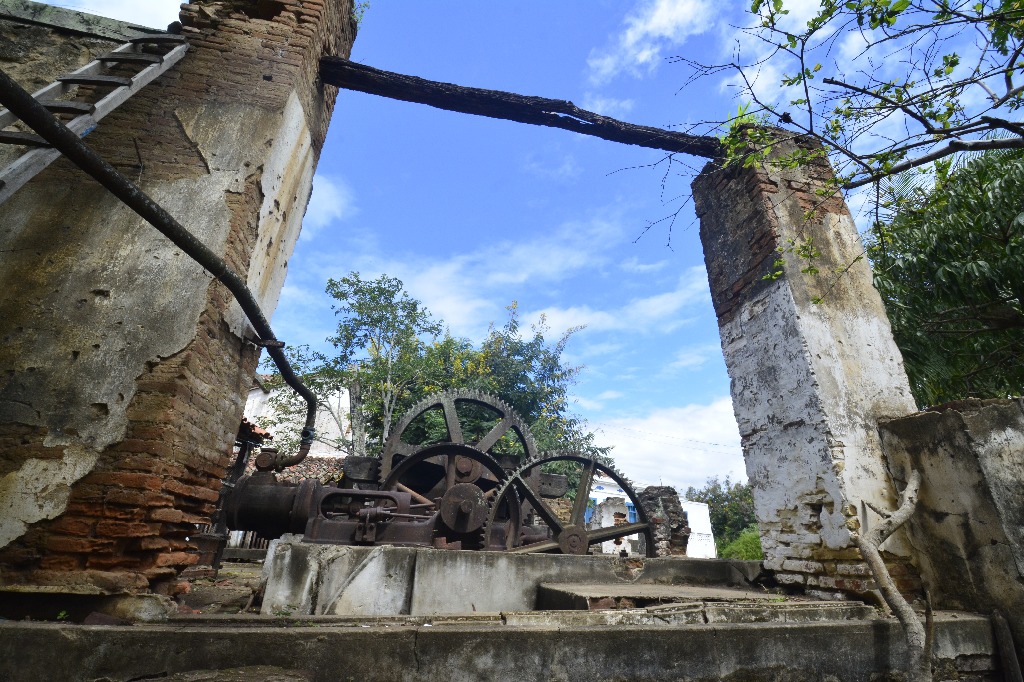 2021.05.13_sao miguel taipu_engenho novo © roberto guedes (27).JPG